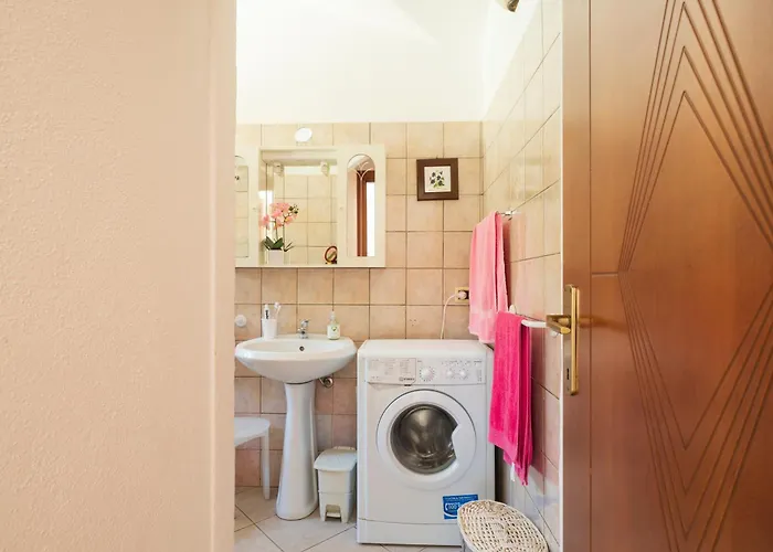 Sa Phoenix * Àrbatax