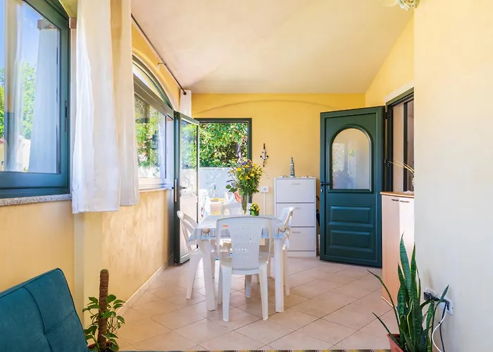 Sa Phoenix * Àrbatax